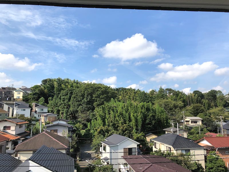 ラ・グランデ菊名 眺望