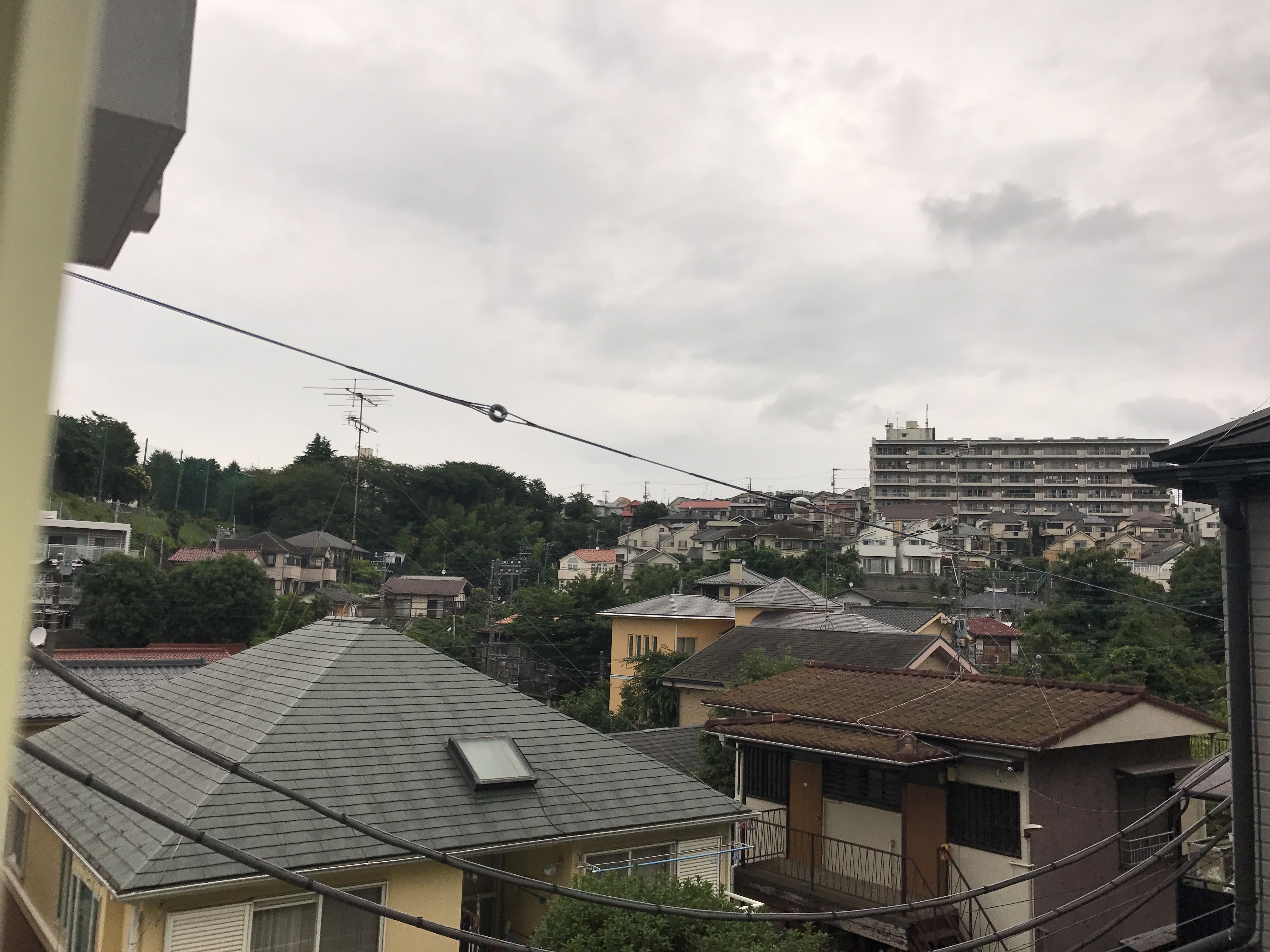 Plumeria菊名 眺望