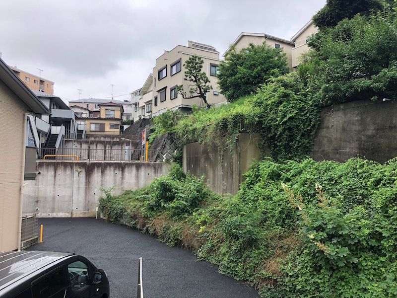 サンシティ妙蓮寺Ｂ棟 眺望