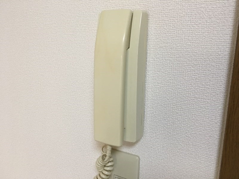 パルストーン セキュリティ