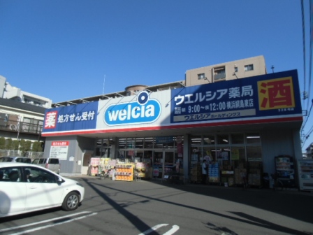 クラリッサ新綱島 ドラッグストア
