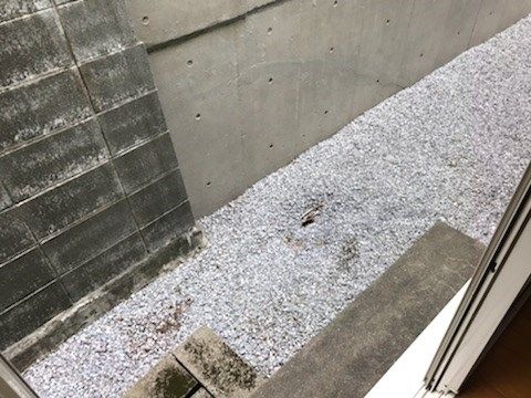 ピアヒルズ ベランダ