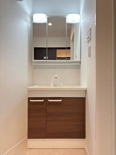 オークス元住吉 洗面所