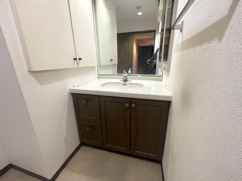 ナイスアーバン平間 洗面所