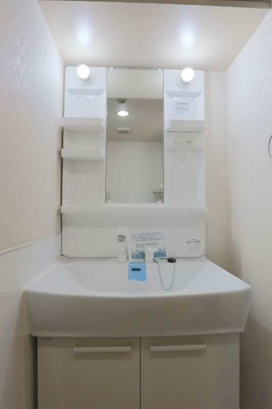 ラポール菅田 洗面所