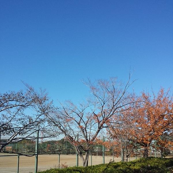 大倉山参番館 公園