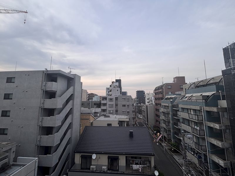 グレイス小杉 眺望