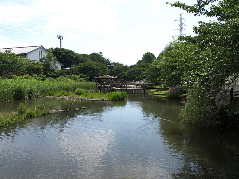 セントレジス新横浜 公園