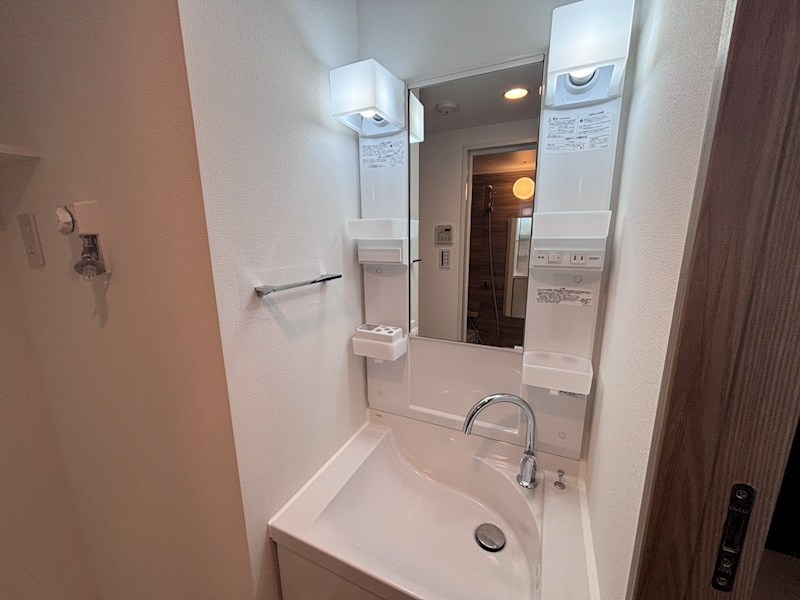 RELUXIA武蔵中原 洗面所