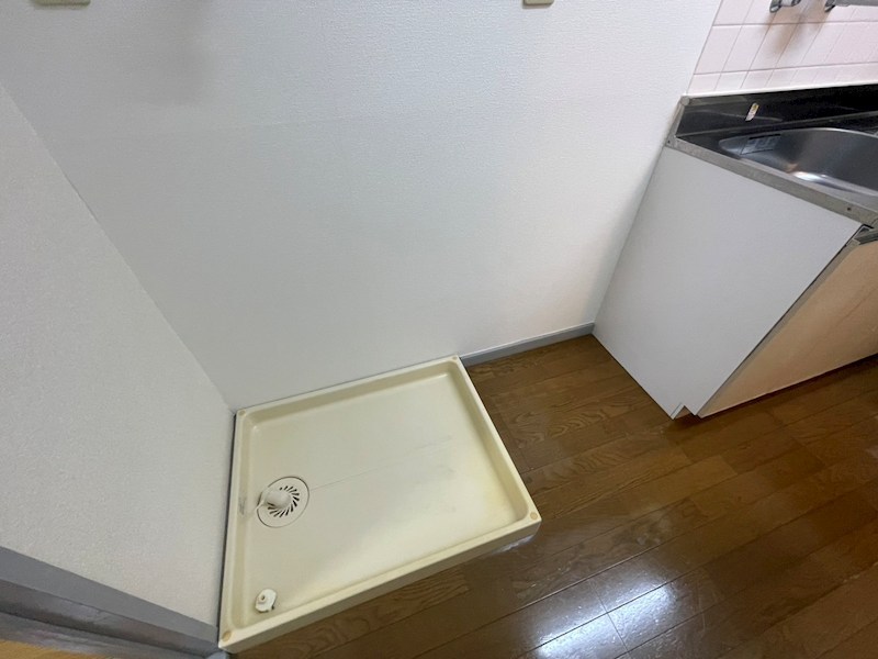 トラッドワカシマⅡ その他