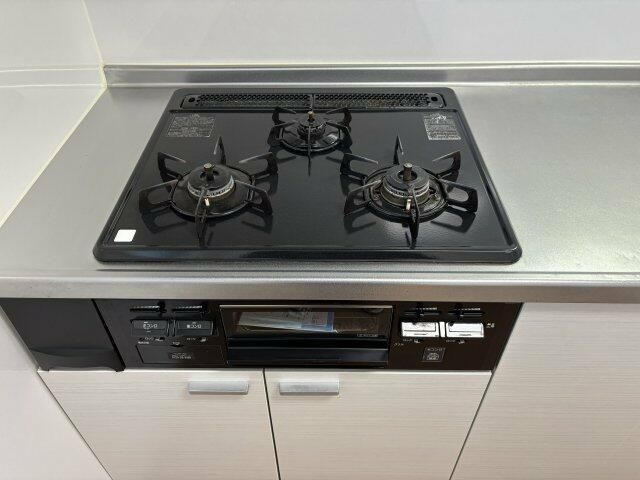 テルージュ菊名Ⅱ ベランダ