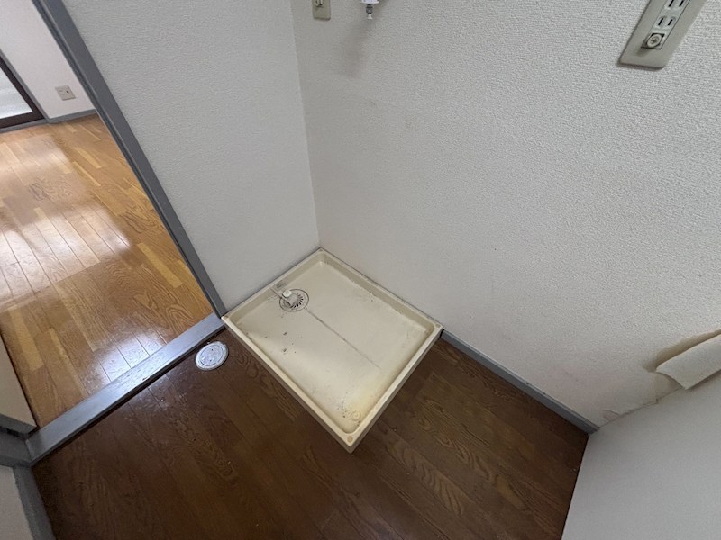 トラッドワカシマⅡ その他