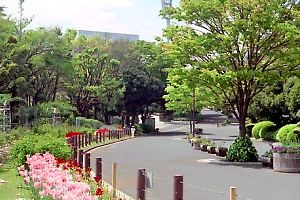 日神デュオステージ三ツ沢公園 その他