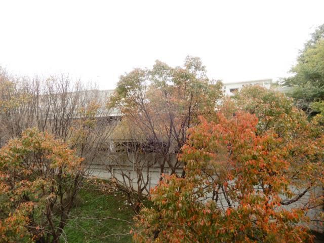 ガルファーサ新横浜 眺望