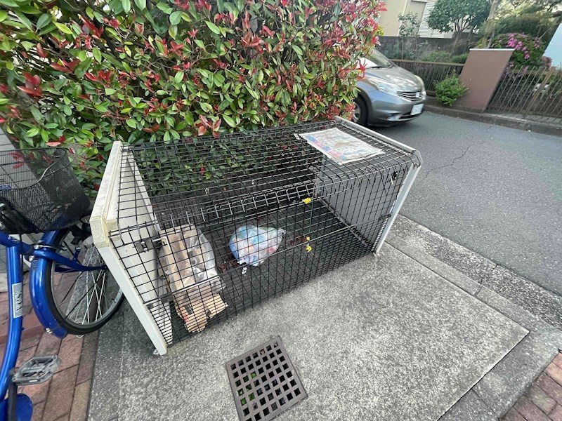 ベルベリーノ その他共有部分
