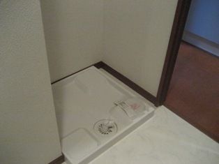 アムール大口 その他