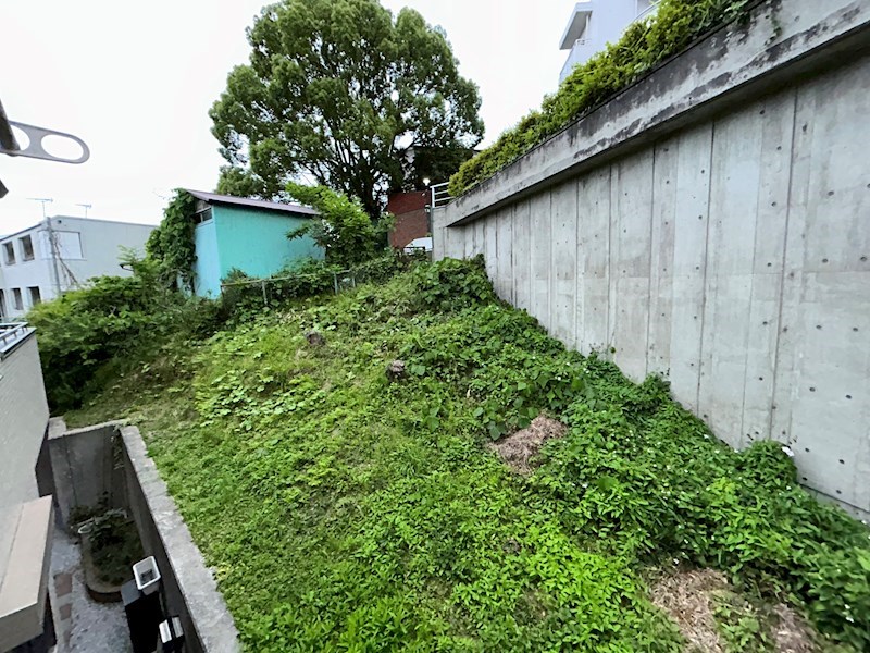 アルファンサー菊名 眺望