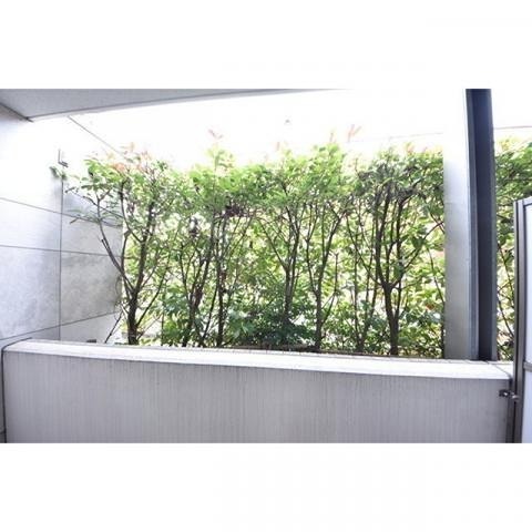 CourtBlanche 眺望