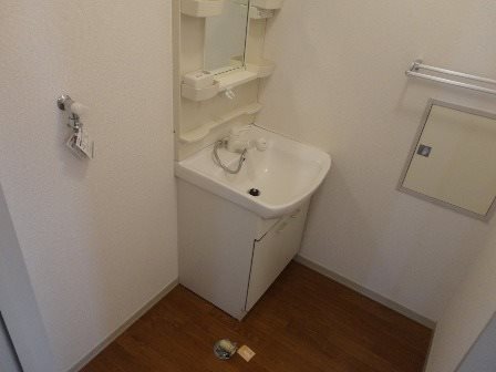 リバーパークＢ 洗面所