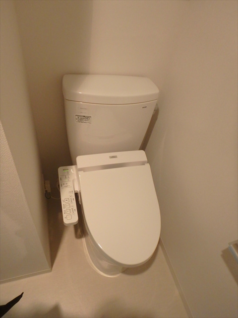 アルマドーラ王子   その他2