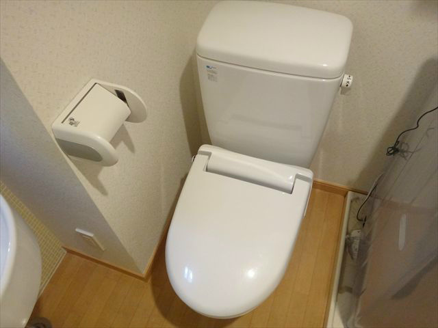 スコレータムラマⅡ その他1