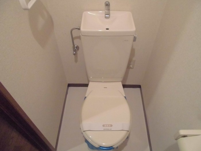 シャンティオン  その他1