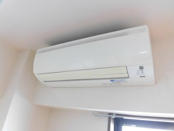 シャンティオン  その他10