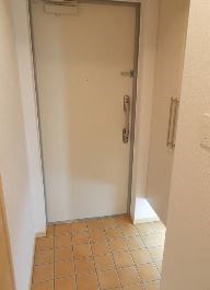 アイスバーグ その他5