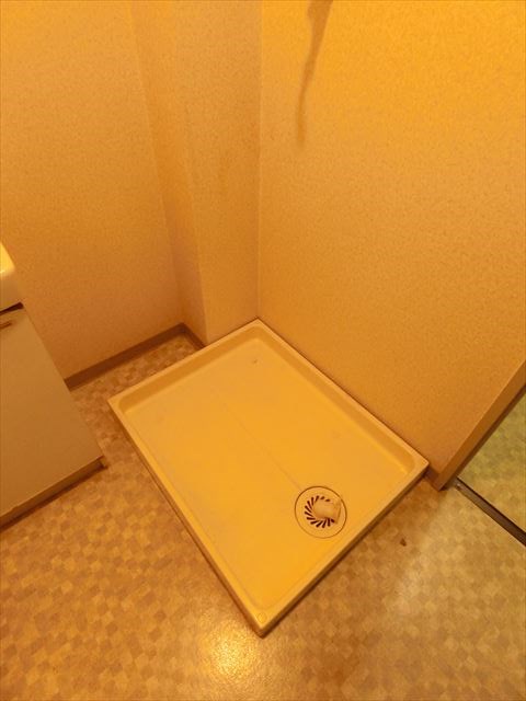 サイガセントラ   その他