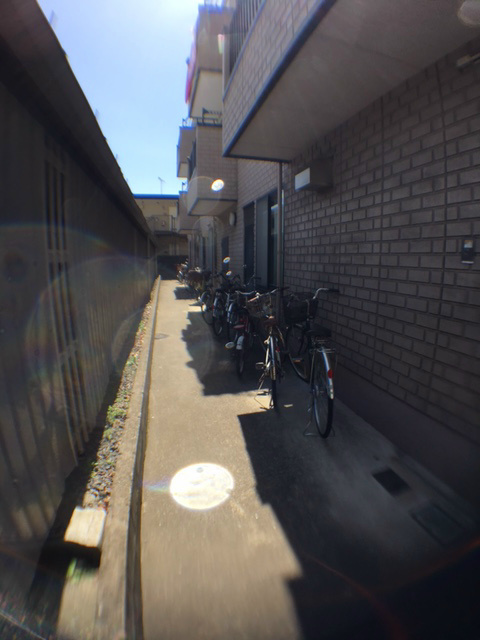 コーラルコート その他4