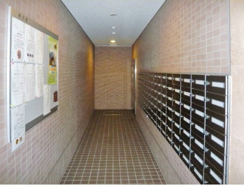 セレリーオ・ニッコー その他2