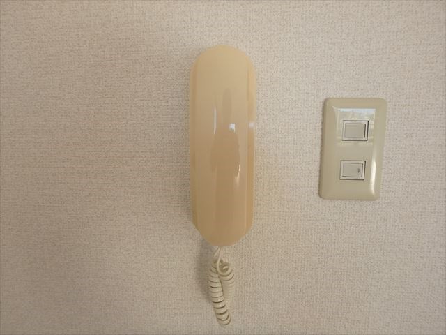 チセ・ムジュール その他6