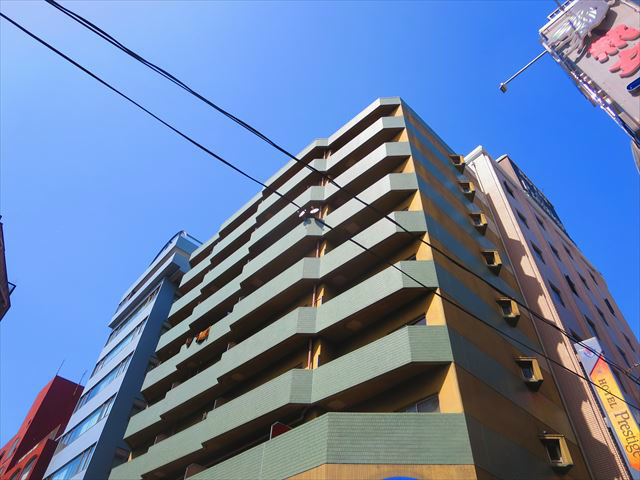 ニューブリード  外観