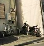 平沼邸 その他6