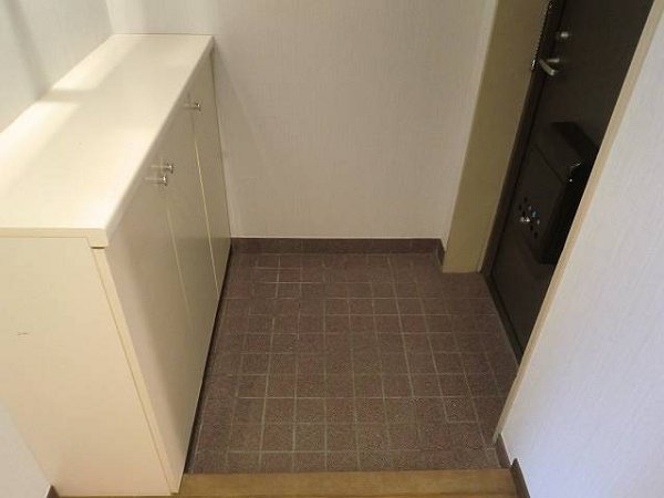 プレステージュミネギシ  玄関