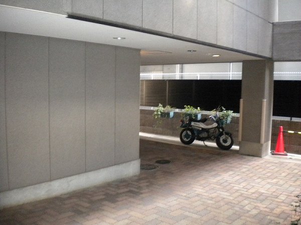 シャンティオン  その他7