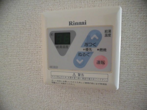 シャンティオン  その他9