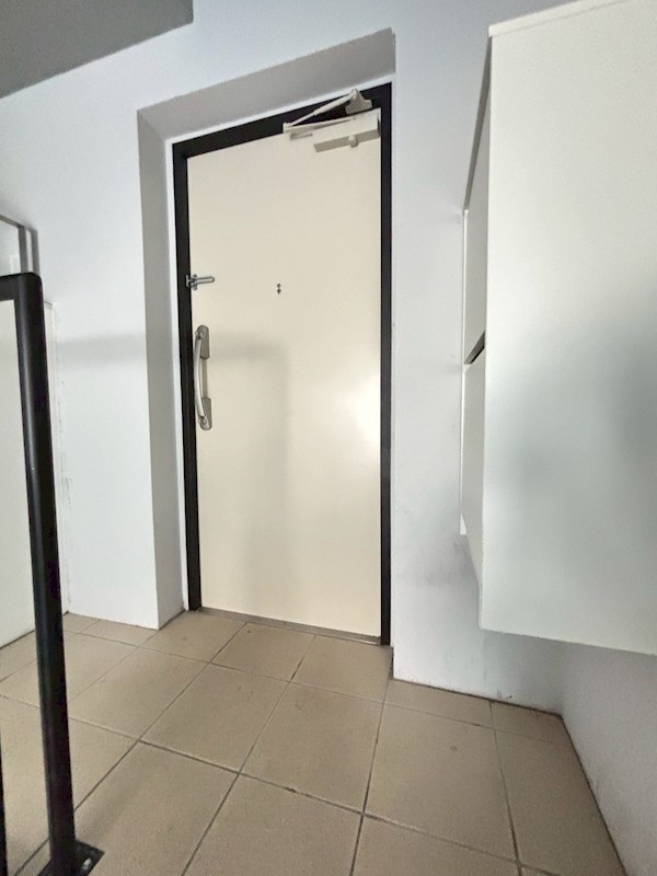 SUERTE竜泉（スエルテ） 玄関