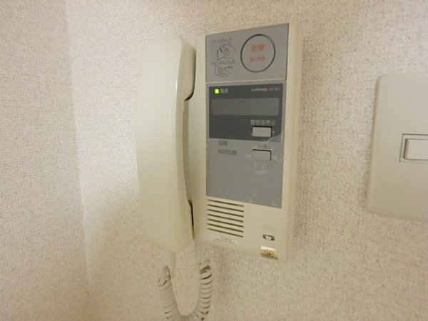 ラクダ その他2