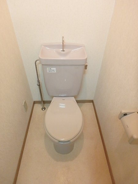 ラクダ その他3