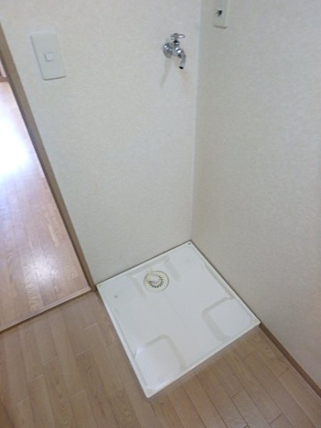 ラクダ その他4