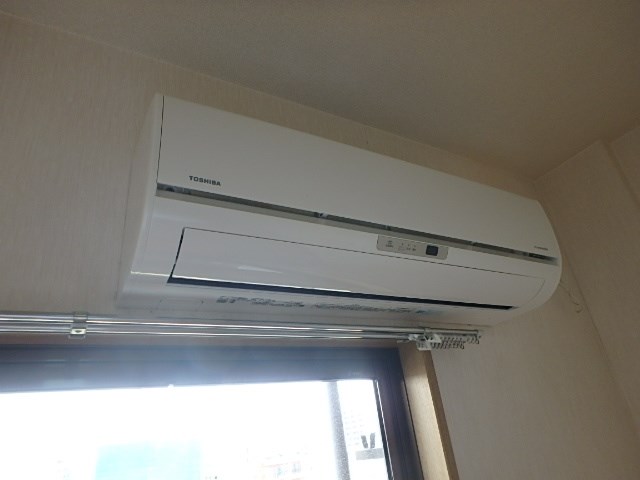 ラクダ その他6