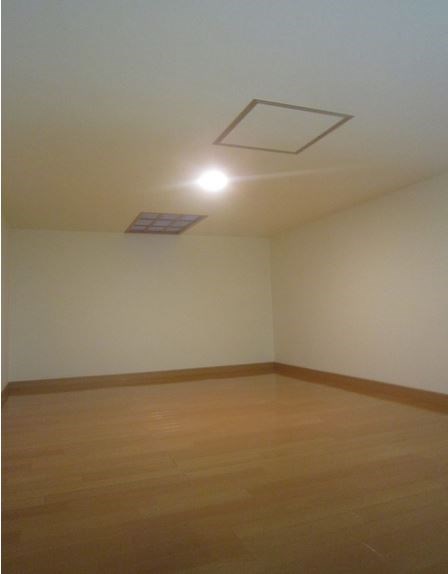 ルネス・Ｋ その他1