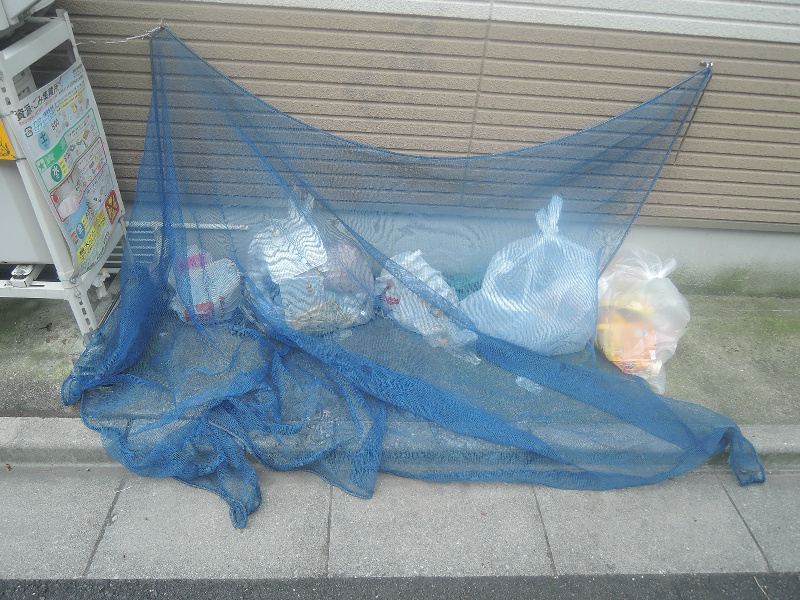 ルネス・Ｋ その他8