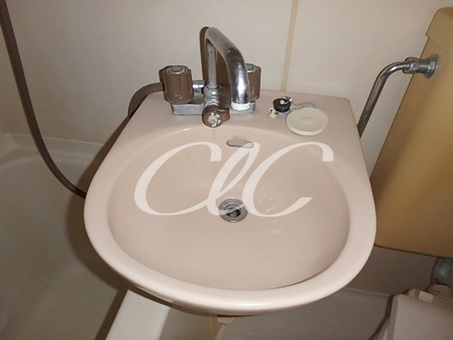 ヴェルデ・コウリン その他2