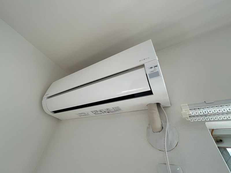 ヴェルデ・コウリン その他3