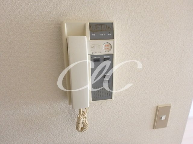 ヴェルデ・コウリン その他3