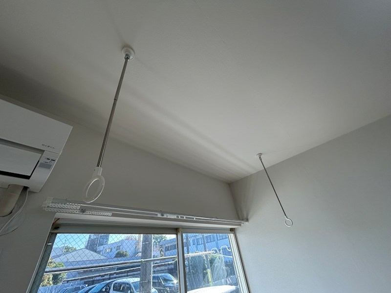 ヴェルデ・コウリン その他9