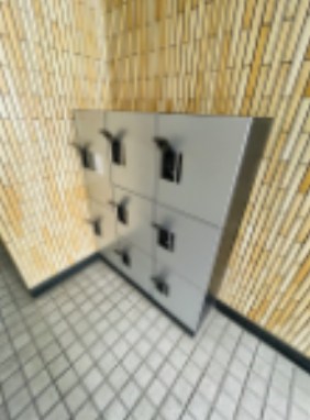 ドミール四つ木 その他5