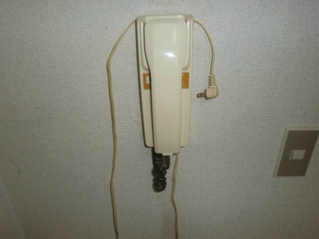 フェニックス1 その他2